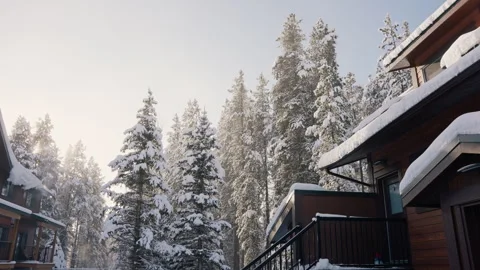 Snow Covered Evergreen Trees Surrounded by Cozy Cabins 4K Stock Footage 263383530