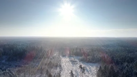 Snow Covered Field and Forest in Winter, Aerial Lift-up View Video stock 85357801