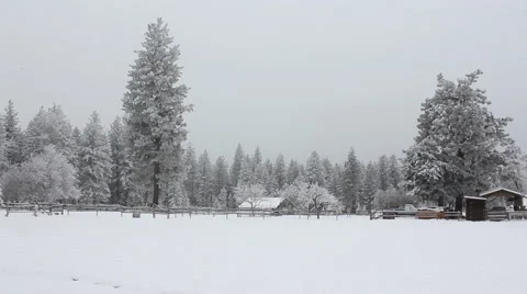Snow covered field, building Video stock 60611433
