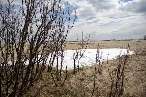Snow-Covered Field with Exposed Patch of Dirt Stock Photos