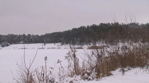 Snow-covered field Stock Footage 45603621