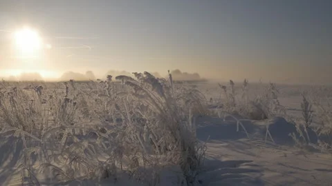 A snow-covered field Stock Footage 274890780