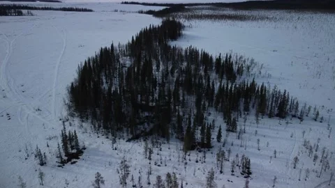 A snow covered field with a forest in the background and a sky line Stock Footage 195510986