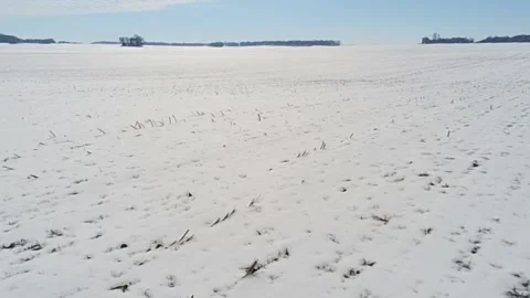 A snow covered field makes a beautiful winter scene in south central Kentucky Vidéo 342085392