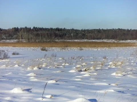 Snow-covered field 스톡 사진