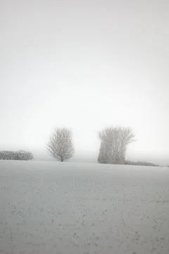 Snow covered field Stock Photos