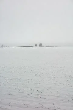 Snow covered field Stock Photos