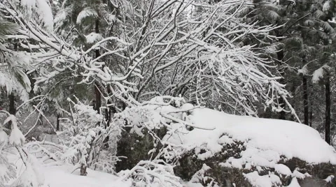 Snow covered field, rock Video stock 60612867