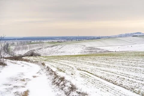Snow covered fields and trees at dusk with hills and distant power lines in.. Stock Photos