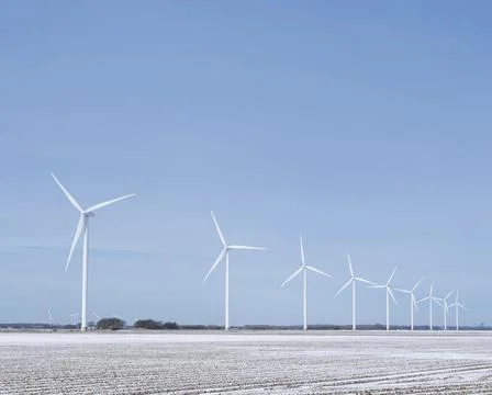 Snow covered fields and wind turbines in dutch polder of flevoland under blue Stock Photos