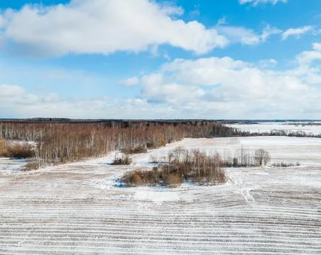 Snow Covered Fields with Sparse Trees and Distant Forest Horizon Stock Photos