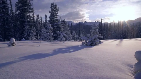 Snow-covered fir on the top of the ridge. Stock Footage 72896053