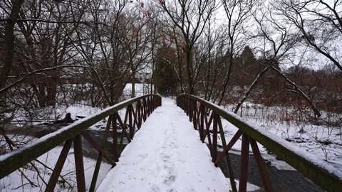 Snow Covered Footbridge Over Stream in Forest at Courtice Florell Drive Park Vídeos de archivo 334258574