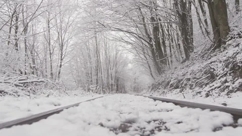 Snow-covered forest and harmony of nature in winter. The tranquility and beauty Stock Footage 257891014