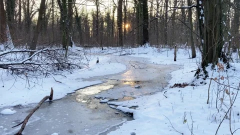 Snow covered forest and little frozen river in winter sunset view Video stock 331438310