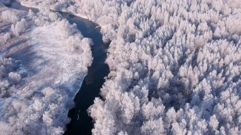 Snow-covered forest and river aerial video shooting Stock Footage 167975015