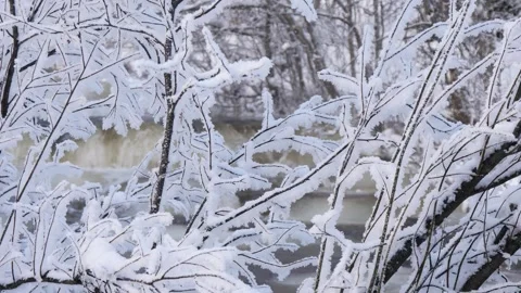 A snow-covered forest and a small river that has not yet frozen Video stock 322905290