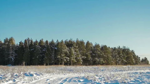Snow-Covered Forest and White Plain Video stock 61357542