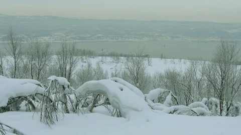 Snow-covered forest on the background of the Bay and the ship. Stock-Footage 119393383