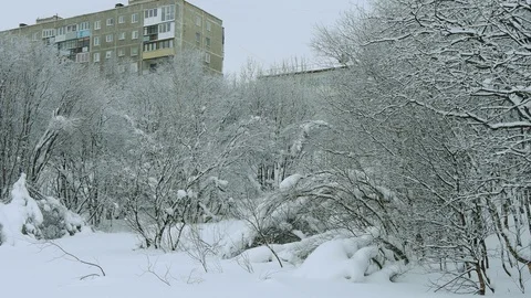 Snow-covered forest on the background of the house. Stock Footage 119393373