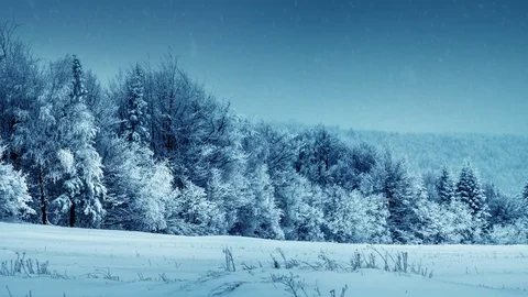 Snow-covered forest during a snowfall. Winter landscape 動画素材 83711747