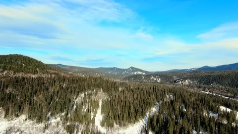 Snow-covered forest. Video stock 109110043