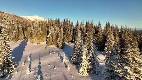 Snow-covered forest landscape showcasing winter beauty at sunset Stock Footage 293826422