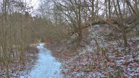 Snow-covered forest path on a cloudy day in winter Stock Footage 330923946