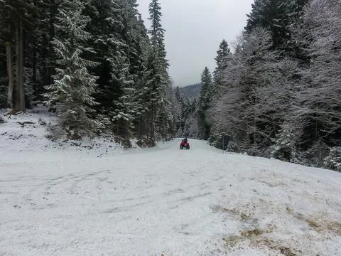Snow Covered Forest Path with Red ATV and Frosted Trees Stock Photos