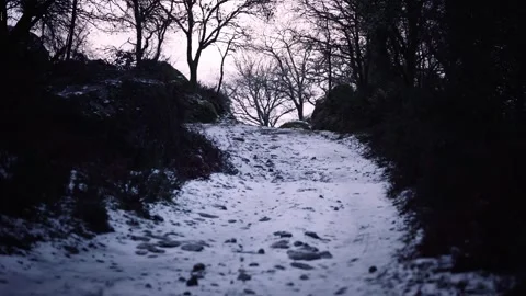 Snow Covered Forest Path Winding Through Dense Woodland Stock Footage 341690704