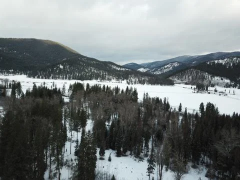 Snow Covered Forest Stock Photos