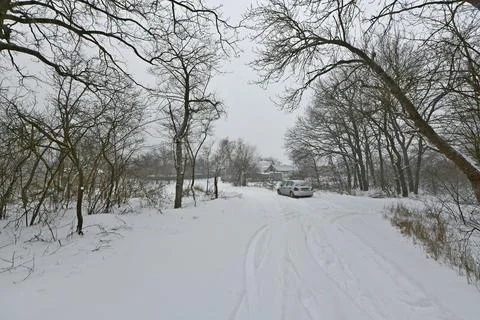 Snow-covered forest Stock Photos