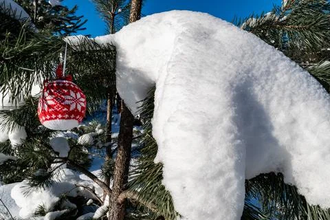 On a snow-covered forest pine tree, a decorative Christmas tree toy. Christma Stock Photos