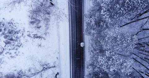 Snow-covered forest road Stock Footage 150355925