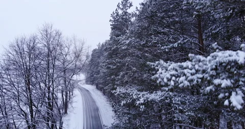 Snow-covered forest road Stock Footage 150356198