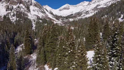 Snow covered forest in the shadow of the mountain 動画素材 305702483