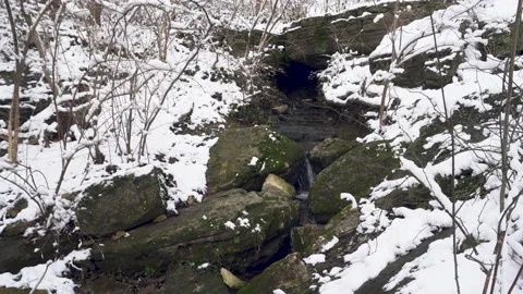 Snow Covered Forest Stream Stock Footage 147516206