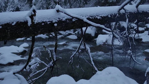 Snow-Covered Forest Stream in Winter Wilderness | 4K Nature Background Stock Footage 311945198