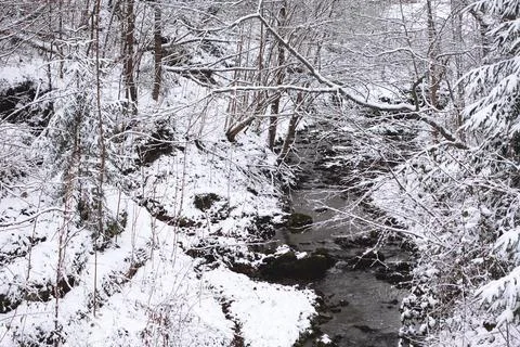 Snow-Covered Forest Stream in Winter Stock Photos
