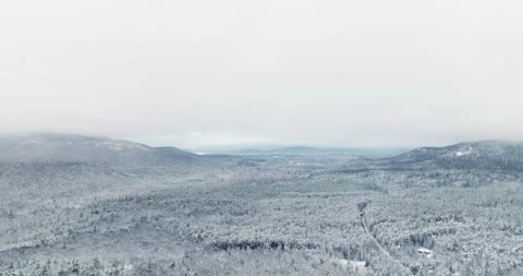 Snow Covered Forest Stretching Across Adirondack Valley Beneath Heavy Winter 库存影片 334939070
