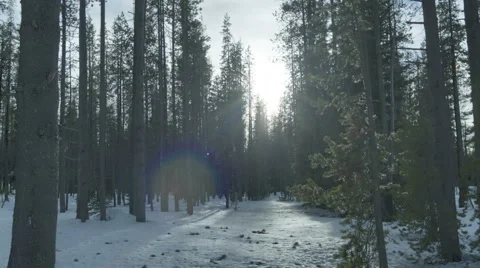 Snow Covered Forest Sunset Time Lapse Stock-Footage 60405057