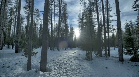 Snow Covered Forest Sunset Time Lapse 스톡 동영상 60405643