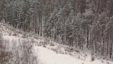 Snow-covered forest in winter Stock Footage 83464775