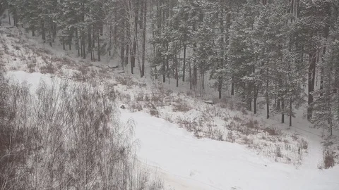 Snow-covered forest in winter Stock Footage 83464925