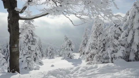 A snow-covered forest winter landscape in mountains - clouds in the background 動画素材 158018497