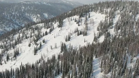 Snow covered forest in winter mountains 库存影片 171573148