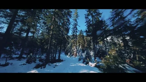 Snow covered Forest in Winters Stock Footage 213972247