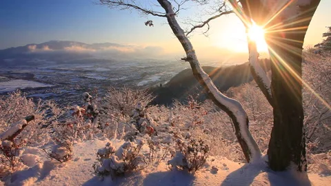 Snow-Covered Forests of Komaki Castle with Morning Sunlight and the Hat Mountain 库存影片 330635260