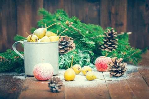 Snow-covered fruit Stock Photos