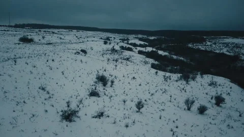 Snow covered glade Stock Footage 101852084